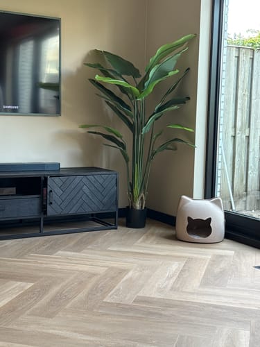 Customer photo review of Strelitzia Kunstplant 180cm