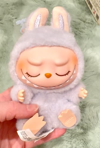 Customer photo review of POP MART Labubu The Monsters Big into Energy Series Vinyl Plush Pendant Sealed Case (Single Blind Box)
