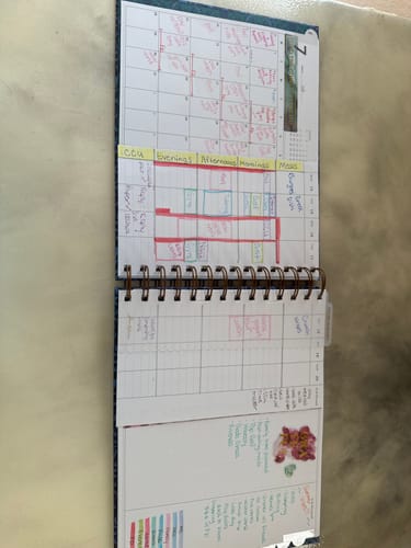 Customer photo review of MINI Vertical Week + Month Planner, 2025-2026 | Ice Queen