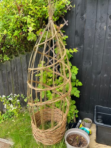 Customer photo review of The Willow Plant Support - Online Course and Kit