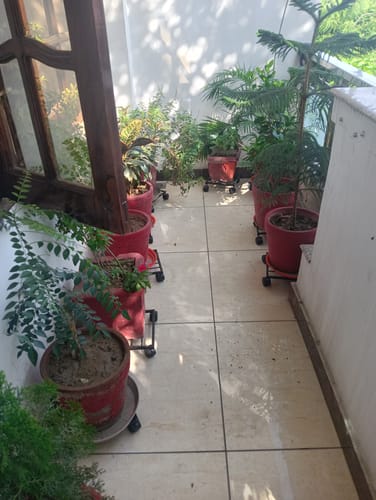 Customer photo review of United Crafts Rozy Wheel Pot Stands for Planters