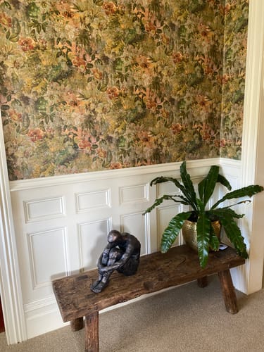 Customer photo review of Thalia - Peacock Distressed Concrete Wallpaper - Multi