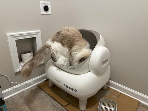 Customer photo review of Neakasa M1 Lite Automatische Katzentoilette