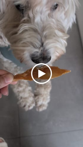 Customer video review of Premium Chicken Chews