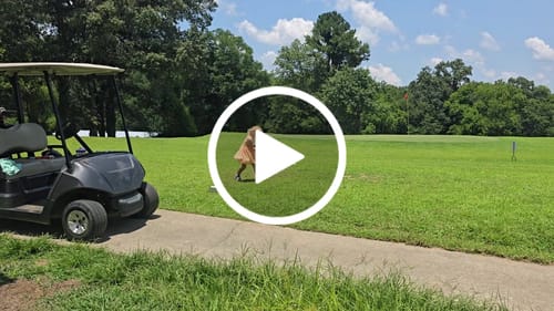 Customer video review of FlightPath Golf Tees - 1 Pack