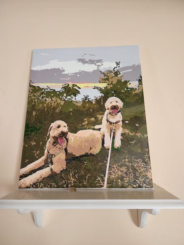 Customer photo review of Shipping Protection