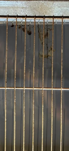 Customer photo review of SHYN Grime Lifter