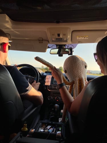 Customer photo review of The Octopus