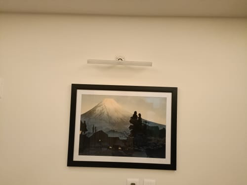 Customer photo review of Mount Fuji From Mizukubo by Hiroaki Takahashi, Japanese Art Painting