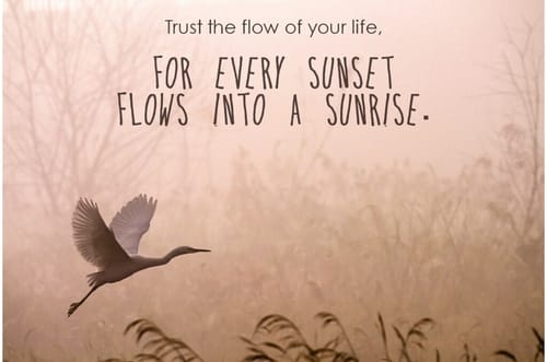 Customer photo review of Trust Your Path | Life Purpose - Channeled Angel Message | 5 Card Spread via Email