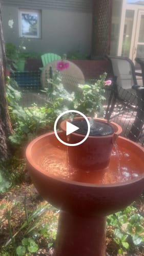 Customer video review of Alba Cordless Fountain