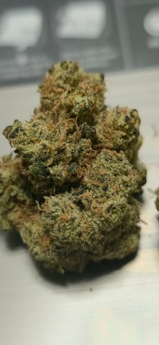 Customer photo review of Golden Pineapple