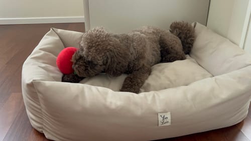 Customer photo review of Divanetto Cotone Siena Beige