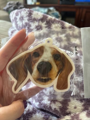 Customer photo review of Custom Shape Air Freshener