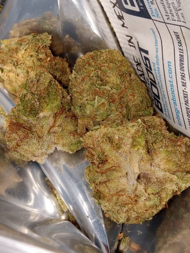 Customer photo review of Blaze