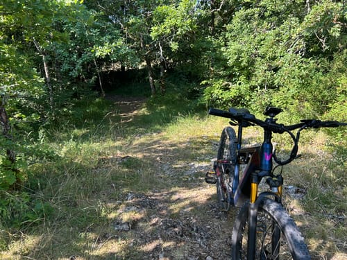 Customer photo review of Vakole EMT29 250W 29" E-Mountain Bike 720Wh Cross-Country Full Suspension EMTB with Torque Sensor 48V 15Ah Battery