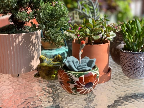 Kathleen R. review of Felter's Palette - 1 oz. image 1 out of 1