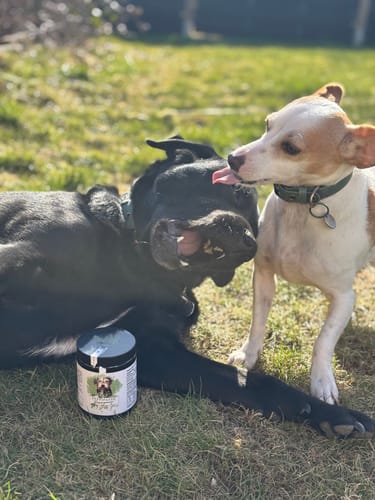 Customer photo review of PeppiPaste - Darmpower