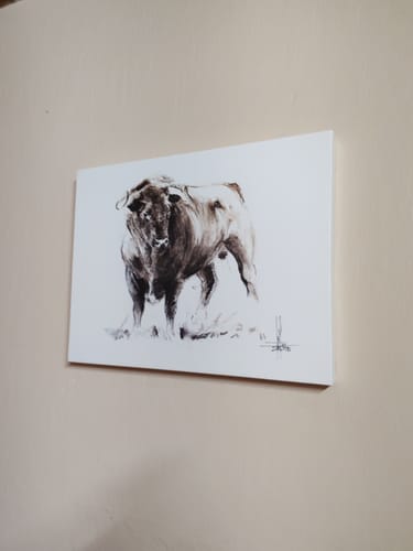 Customer photo review of Toro Bravo