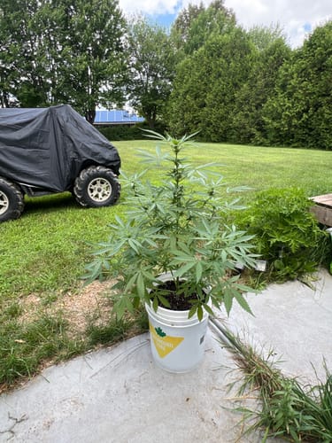 Customer photo review of Nutri+ Nutrients and Additives Starting Kit