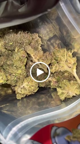 Customer video review of Candy Gas THCA Flower