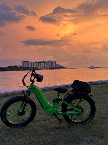 Customer photo review of WIRED Cruiser