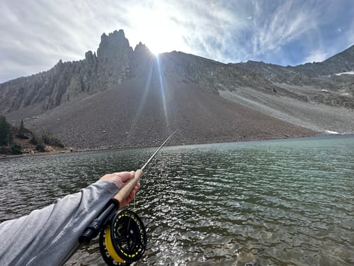 Customer photo review of Galvan Brookie Fly Reel