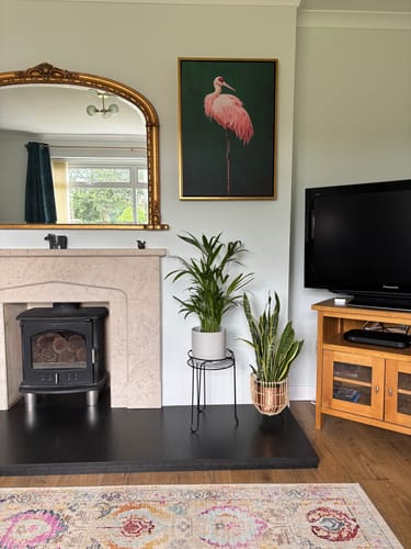 Customer photo review of Pink Crane on Green Print