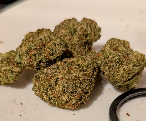 Customer photo review of Grape Ape