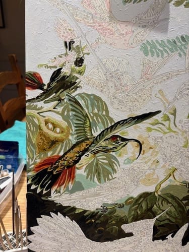 Customer photo review of Hummingbirds