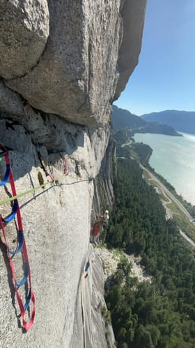 Customer photo review of StepUp 6 Ladder