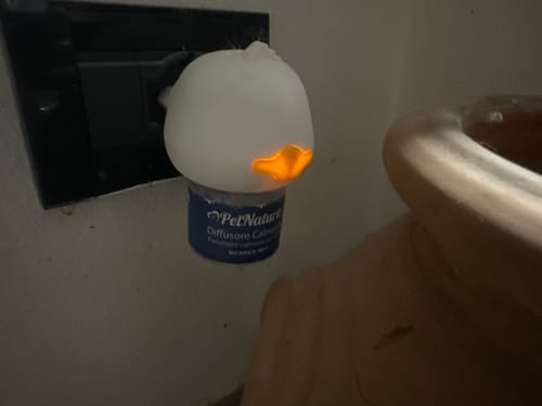 Customer photo review of Diffusore Calmante per Gatti