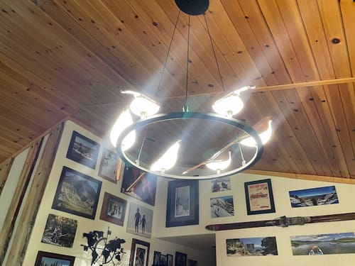 Customer photo review of WOMO Gold Bird Round Chandelier-WM2512d