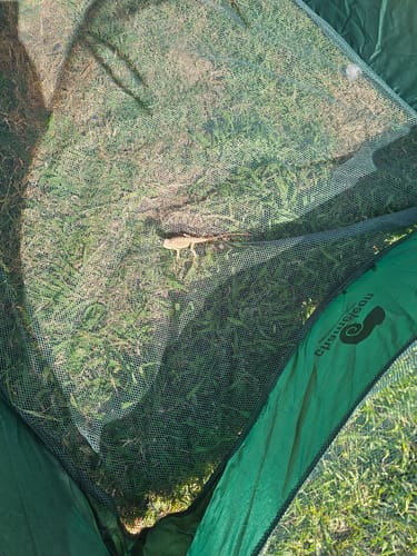 Customer photo review of PUC1000