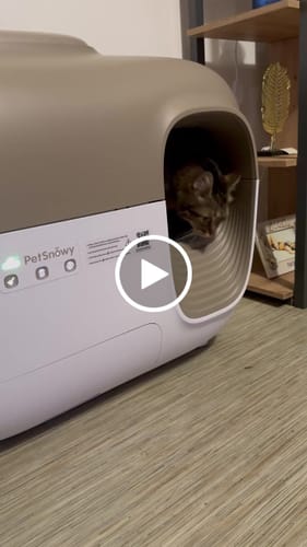 Customer video review of Self-Cleaning Litter Box