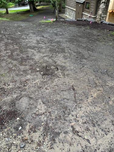 Customer photo review of Men's Alpaca Socks