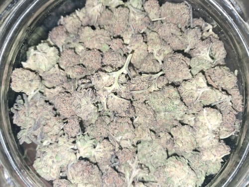 Customer photo review of Cheap THCA Smalls Pound