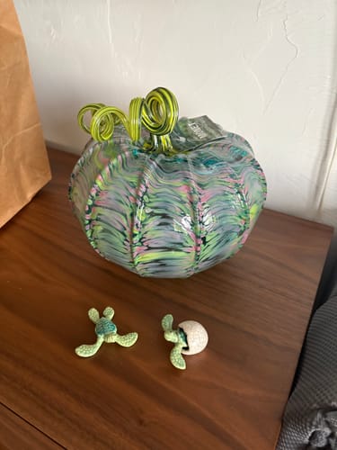 Customer photo review of The Monet Pumpkin