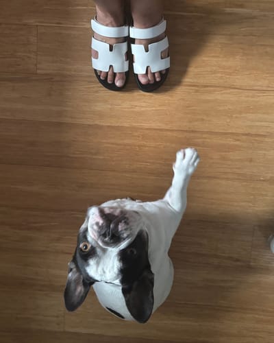 Customer photo review of Shea Slide Sandals