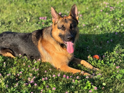 Customer photo review of DA-01™ Daily All-in-One Complete Care