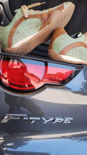 Customer photo review of Men's GrandPrix Sneaker in Verdolino