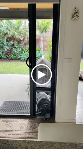 Customer video review of Pet Door Inserts