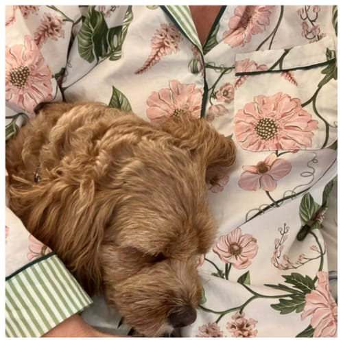 Customer photo review of Georgie Pink Floral Pyjama Set