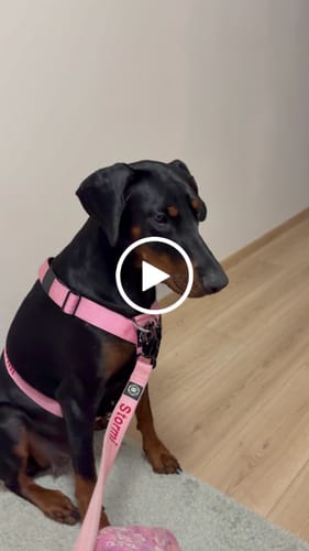 Michaela V. review of Personalisation Fee €6.99 image 1 out of 1