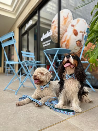 Eimante review of Lead - Stay Spicy image 1 out of 1