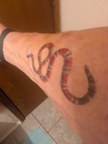 Customer photo review of Designer Snake Tattoo