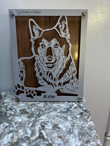 Customer photo review of Custom Pet Metal Portrait