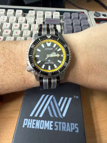 Customer photo review of NTTD Bond Nylon Watch Strap