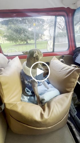 Customer video review of Boujee Booster