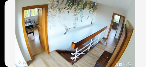 Customer photo review of Papier Peint Oiseaux Inspiration et Décor